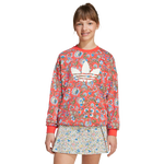 Semi Lucid Red-Multicolor
