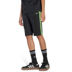 Black-Signal Green