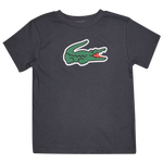 Graphite-Graphite-Green