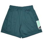 Ash Green-Multi