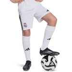 Poly Mesh-White