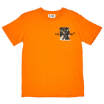 Orange Tiger-Cornstalk