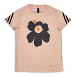 Halo Blush-Black