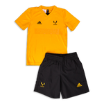 Semi Solar Gold-Black-Semi Solar Gold