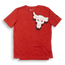 Under Armour Project Rock - Grade School T-Shirts Heritage Red-Black
