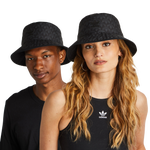 Black-Black