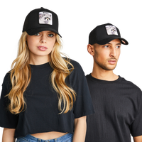 Black-Black