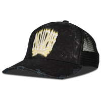 Black-Black