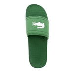 Green-White- C-LSTE FRAISIER BRD1 US SPM GRN/WHT