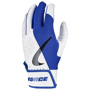 nike force batting gloves