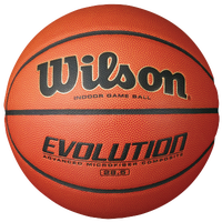 Wilson Evolution Game Ball - Women's