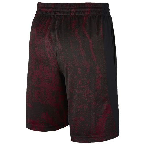 lebron shorts