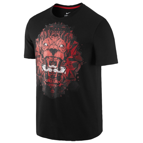 Nike LeBron Lion T-Shirt - Men's - Basketball - Clothing - James ...