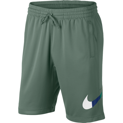 nike sb dry sunday shorts