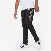 adidas tiro 17 pants gold