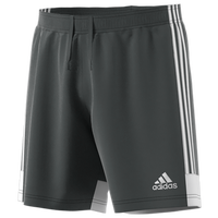 adidas Team Tastigo 19 Shorts - Men's - Grey