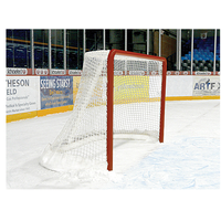 Bison Competition Ice Hockey Goal